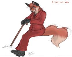 Camstone Gentle-Fox